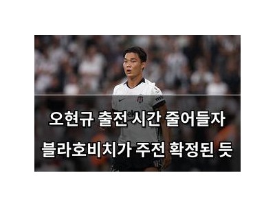 오현규 출전 시간 줄어들자 블라호비치가 주전 확정된 듯