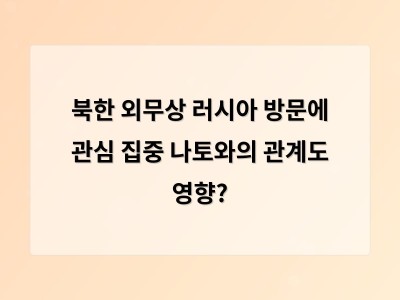 북한-러시아 관계 긴장 속 전략적 동반자로 가까워지는 이유