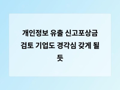 개인정보 유출에 대한 책임 강화와 신고포상금 도입 계획 발표