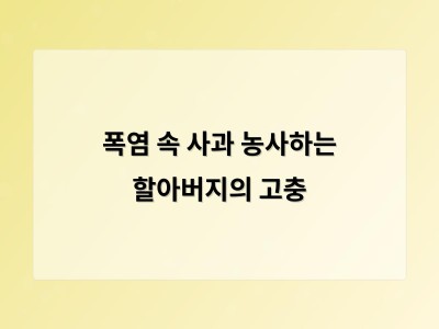 고령 농부가 폭염 속에서도 사과밭을 지키는 이유